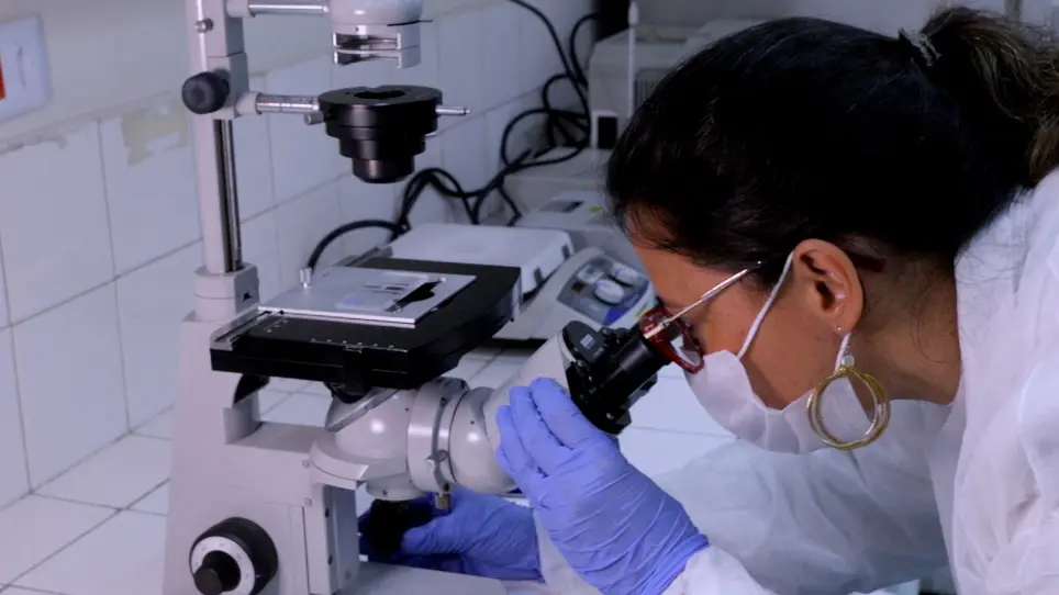 Technique for Obtaining Mesenchymal Stem Cell from Adipose Tissue and Stromal Vascular Fraction Characterization in Long-Term Cryopreservation