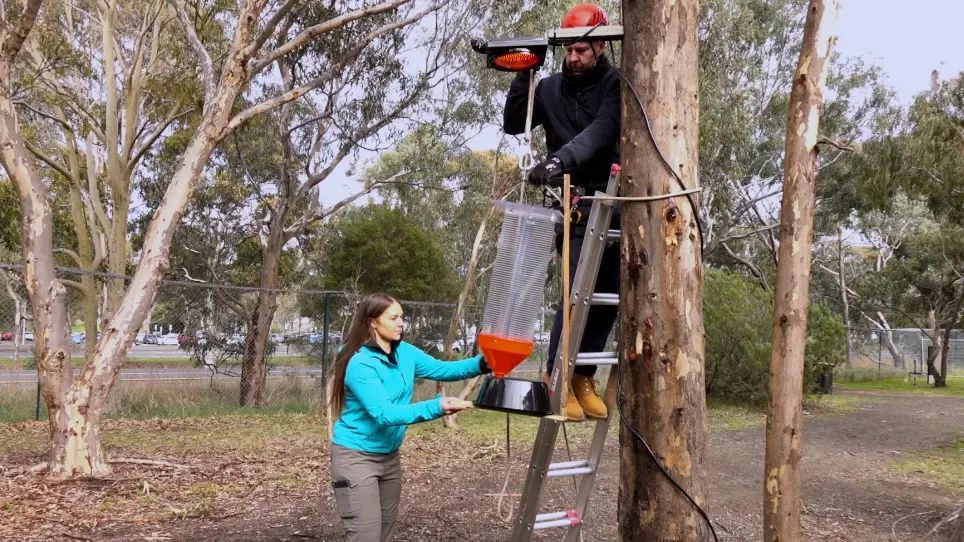 Low-Cost Automated Flight Intercept Trap for the Temporal Sub-Sampling of Flying Insects Attracted to Artificial Light at Night