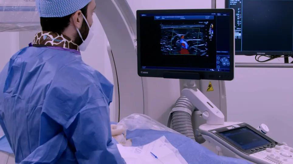 Myocardial Infarction by Percutaneous Embolization Coil Deployment in a Swine Model