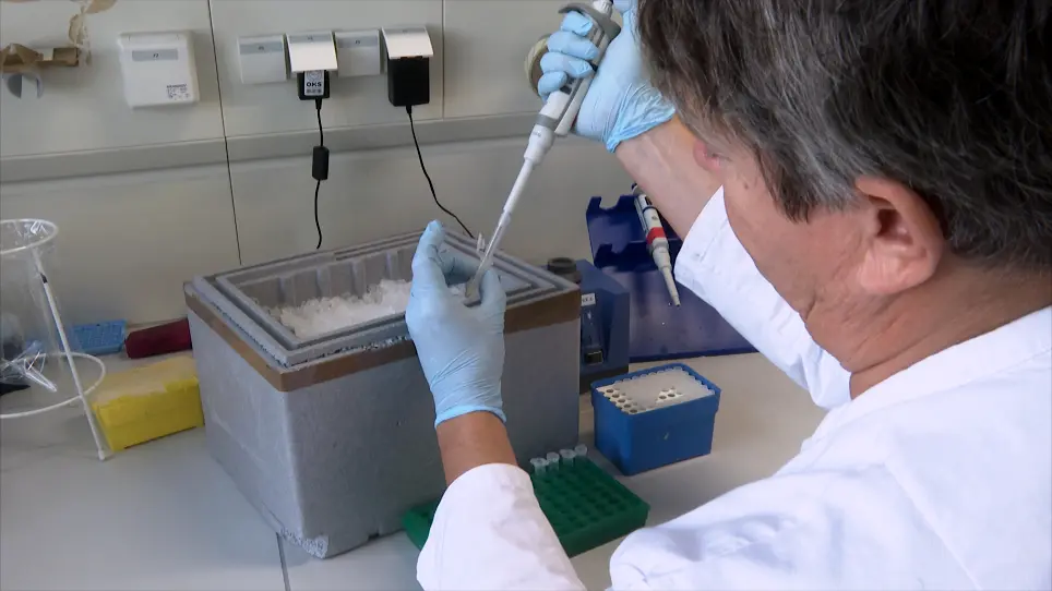 Exploring the Arginine Methylome by Nuclear Magnetic Resonance Spectroscopy