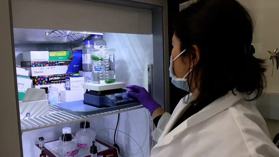 Bacterial Expression and Purification of Human Matrix Metalloproteinase-3 using Affinity Chromatography