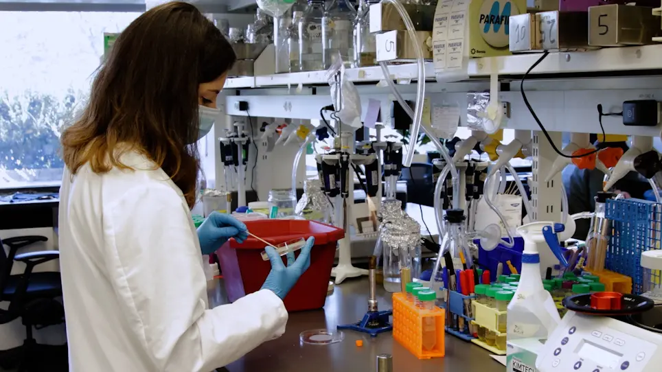 Light-Controlled Fermentations for Microbial Chemical and Protein Production