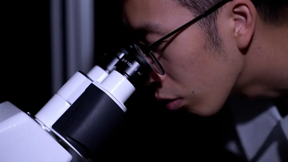 Autofluorescence Imaging to Evaluate Cellular Metabolism