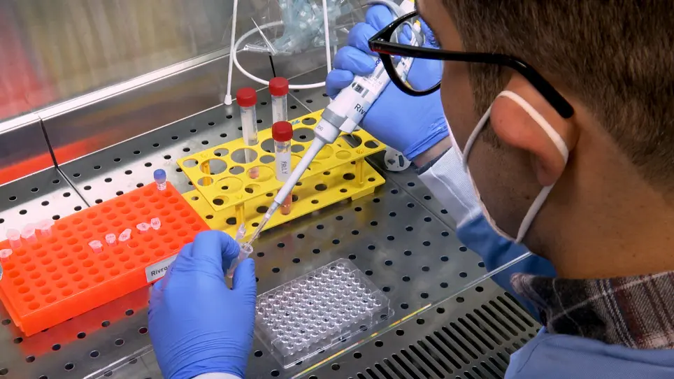 Protocol for Human Blastoids Modeling Blastocyst Development and Implantation