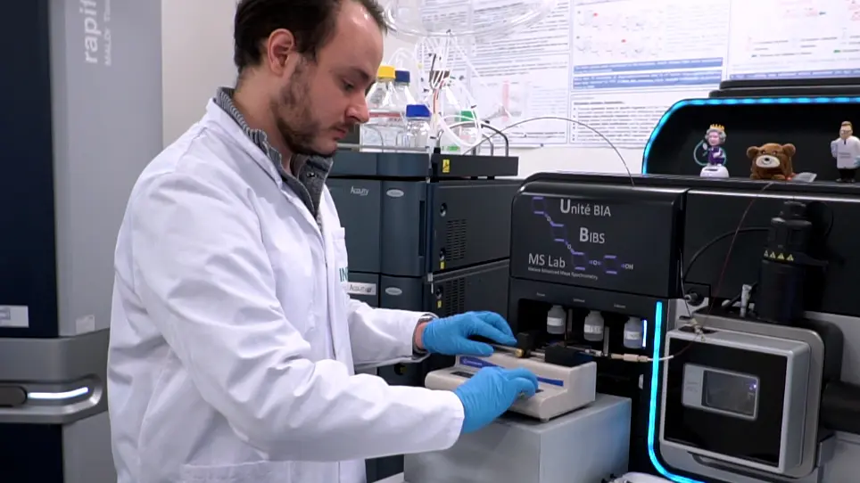 Using a Cyclic Ion Mobility Spectrometer for Tandem Ion Mobility Experiments