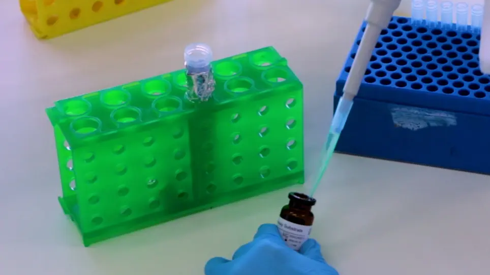 A Reporter Assay to Analyze Intronic microRNA Maturation in Mammalian Cells