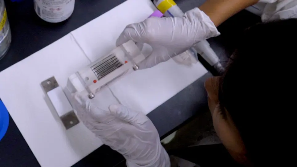 A Nonsequencing Approach for the Rapid Detection of RNA Editing
