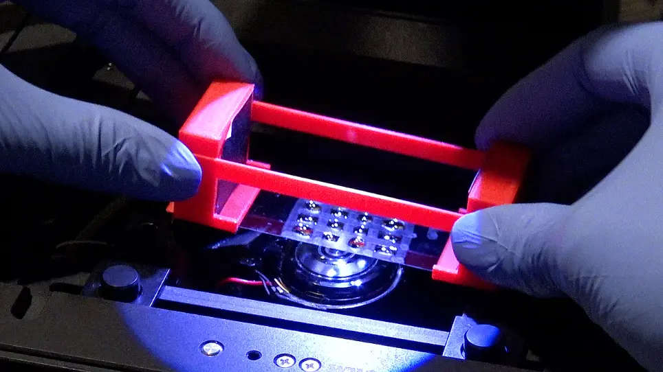 An Optimized Single-Molecule Pull-Down Assay for Quantification of Protein Phosphorylation