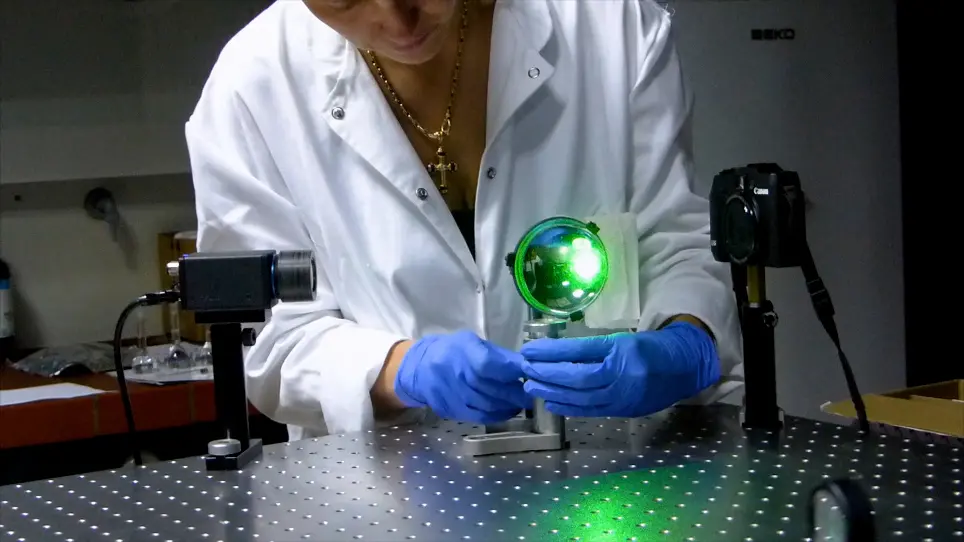 Uncovering Hidden Dynamics of Natural Photonic Structures Using Holographic Imaging