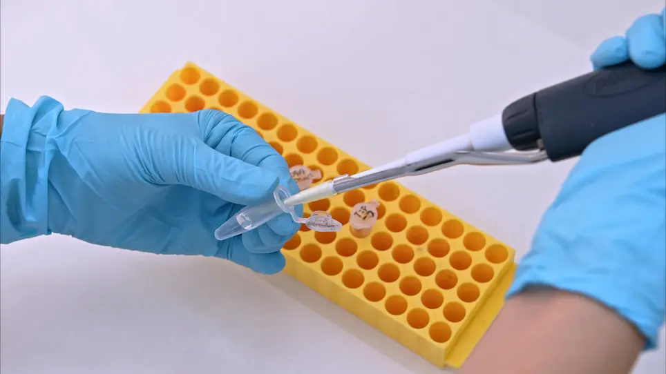 Cell-Type Specific Protein Purification and Identification from Complex Tissues Using a Mutant Methionine tRNA Synthetase Mouse Line