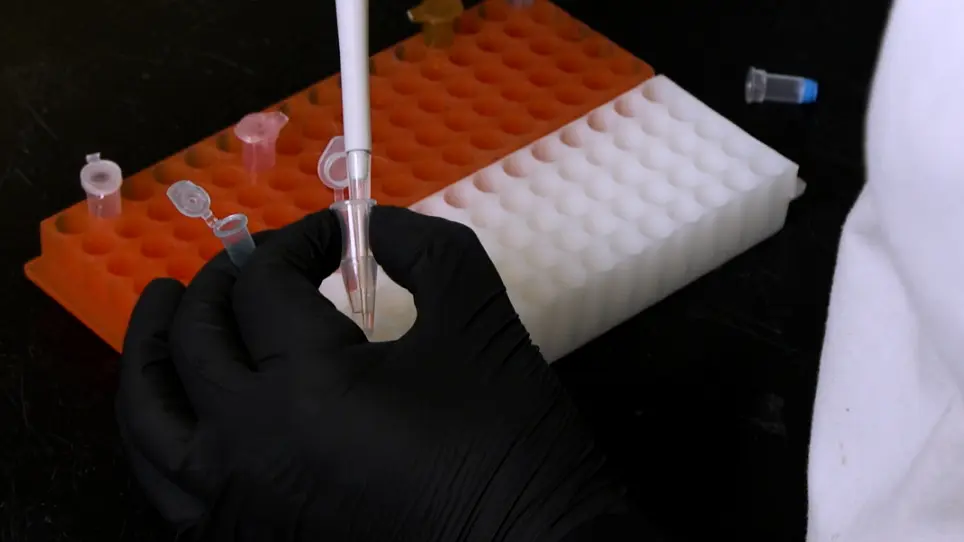 Identification of RNA Fragments Resulting from Enzymatic Degradation using MALDI-TOF Mass Spectrometry