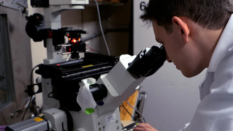Engineering and Characterization of an Optogenetic Model of the Human Neuromuscular Junction