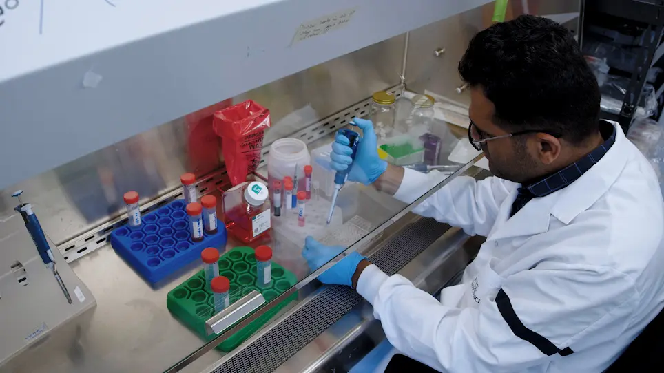 Teasing Out the Interplay Between Natural Killer Cells and Nociceptor Neurons