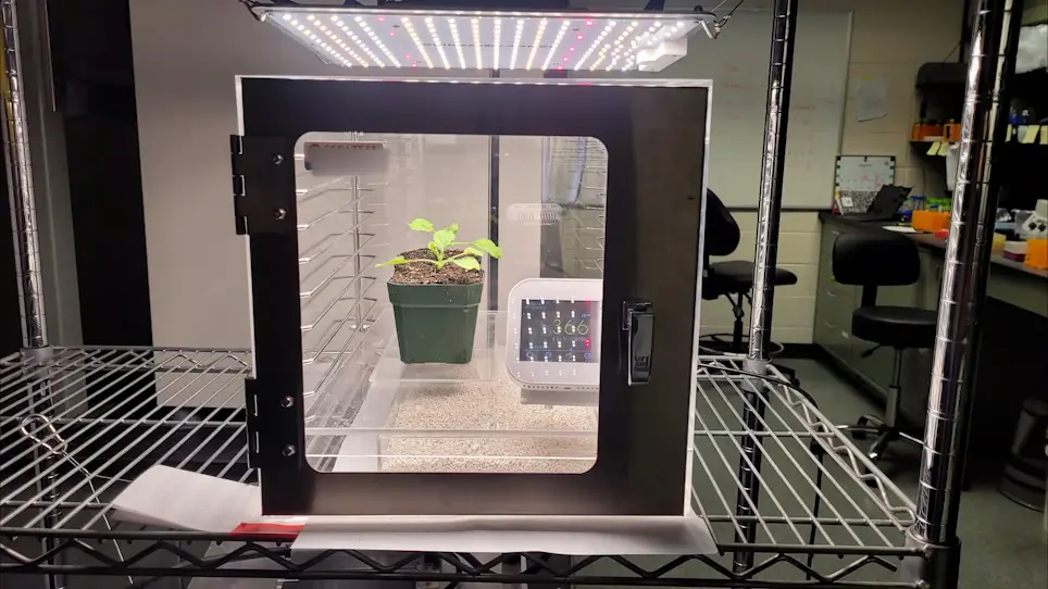 Evaluation of Photosynthetic Efficiency in Photorespiratory Mutants by Chlorophyll Fluorescence Analysis