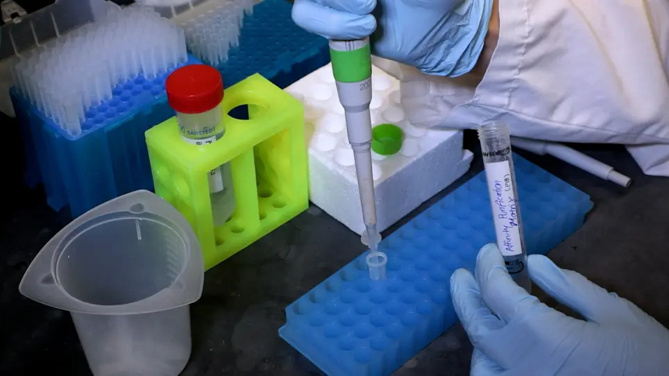 A Mass Spectrometry-Based Approach to Identify Phosphoprotein Phosphatases and their Interactors