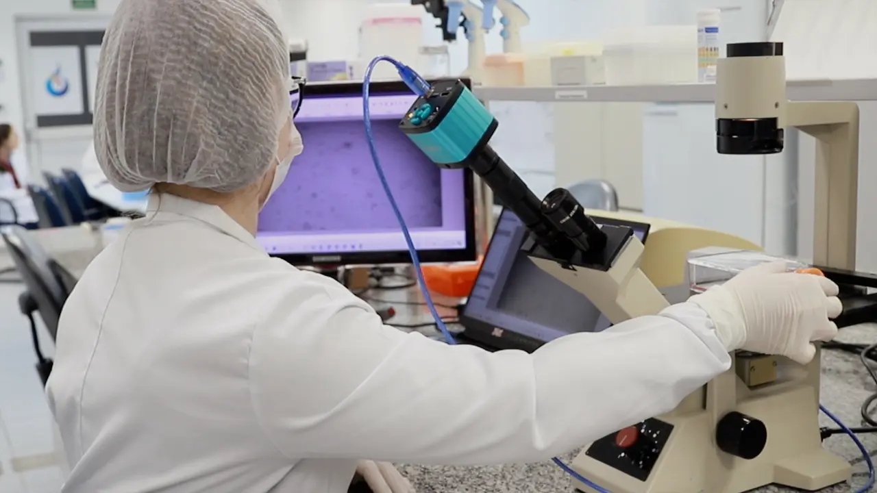 Generation of Tissue Spheroids <em>via</em> a 3D Printed Stamp-Like Device