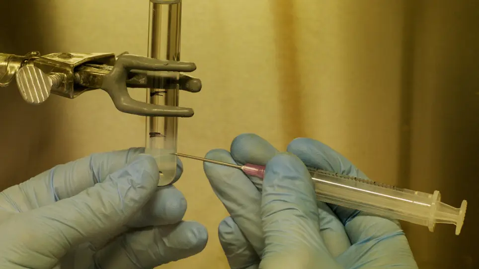 Production of High-Titer Recombinant Newcastle Disease Virus from Allantoic Fluid