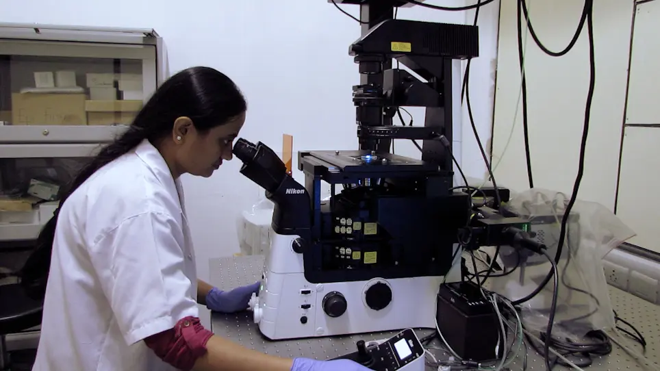 Single-Molecule Analysis of Sf9 Purified Superprocessive Kinesin-3 Family Motors