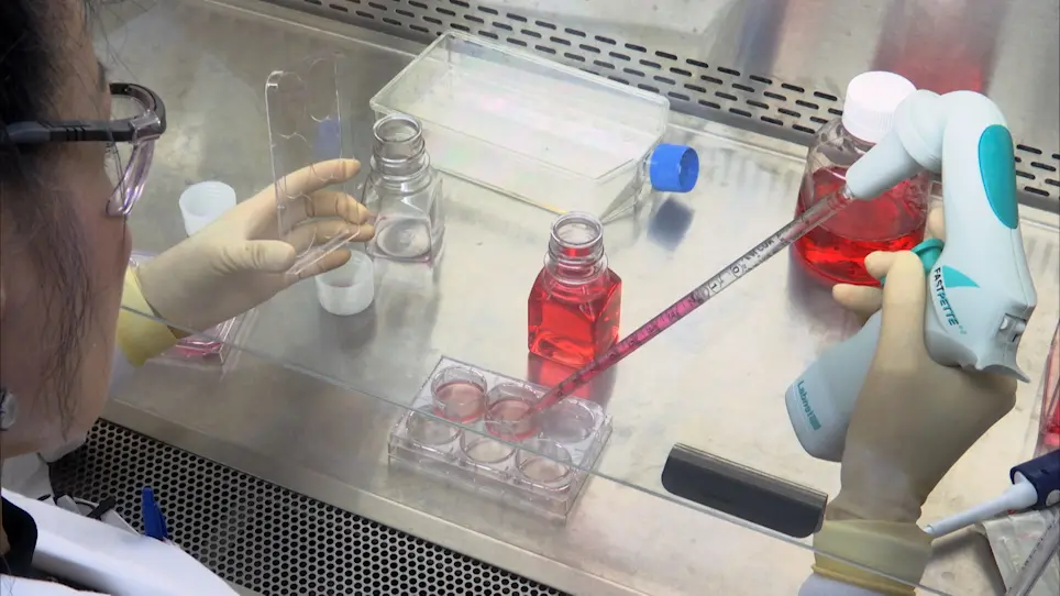 The Caco-2 Cell Bioassay for Measurement of Food Iron Bioavailability