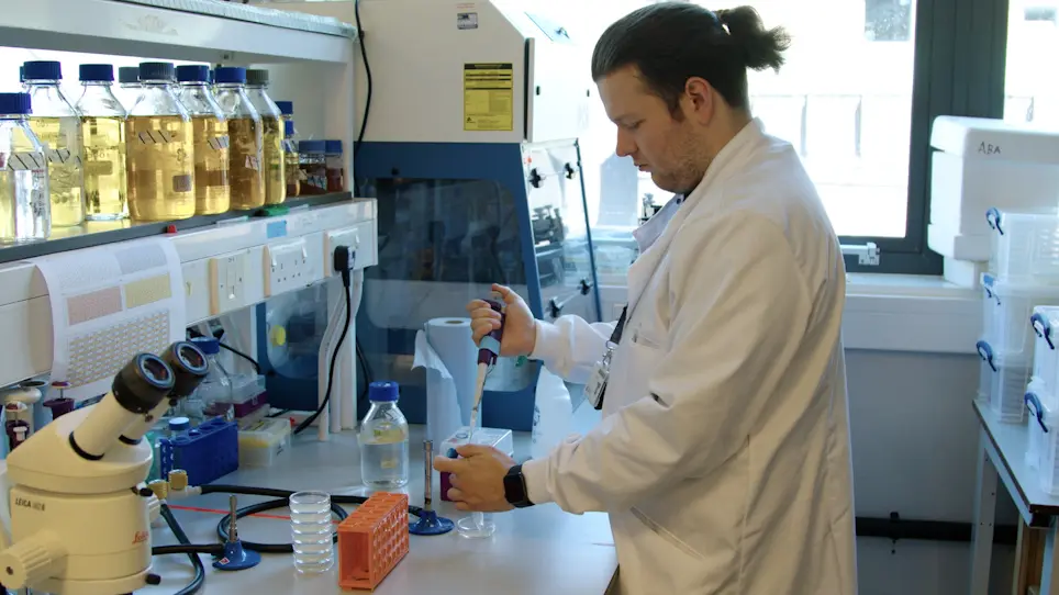 High-Throughput Screening of Microbial Isolates with Impact on <em>Caenorhabditis elegans</em> Health