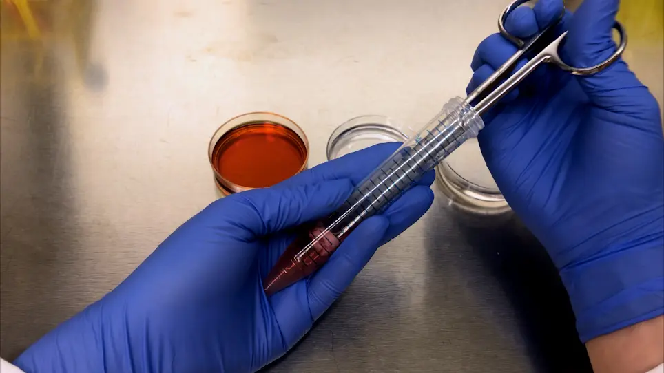 Isolation of Preadipocytes from Broiler Chick Embryos