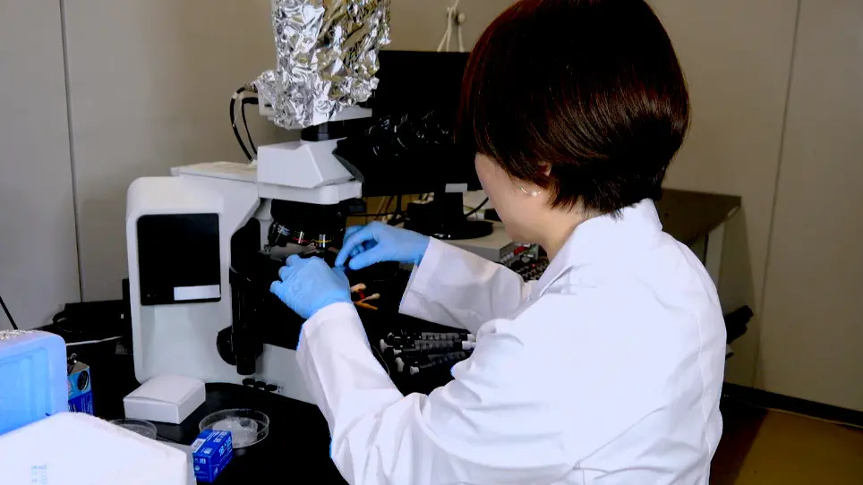 Reactivation of Demembranated Cell Models in <em>Chlamydomonas reinhardtii</em>