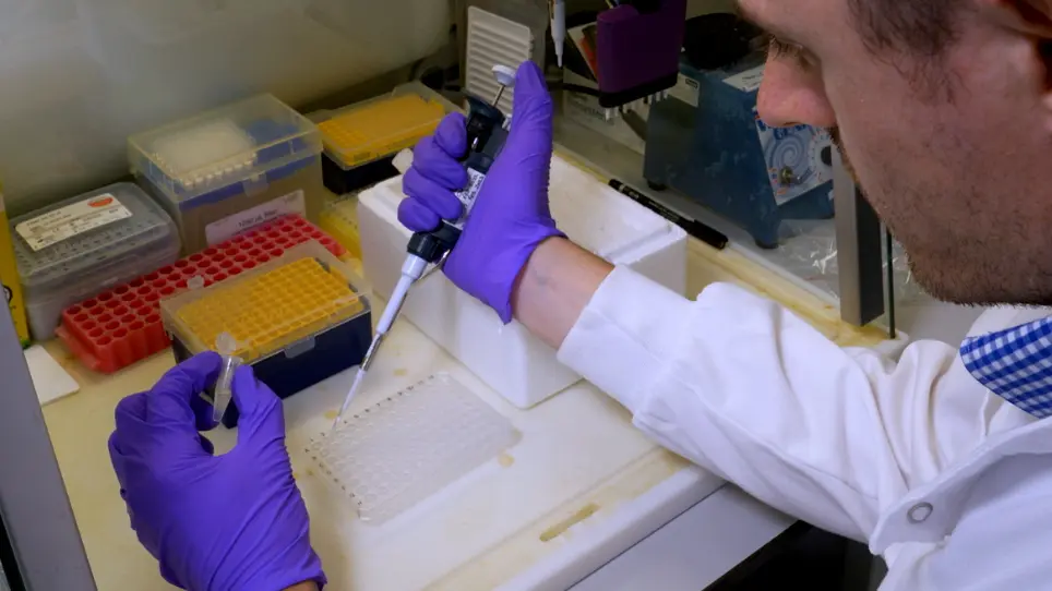 Measuring Single-Cell Mitochondrial DNA Copy Number and Heteroplasmy Using Digital Droplet Polymerase Chain Reaction