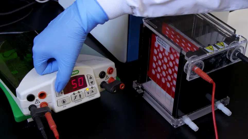 <em>Mycobacterium tuberculosis</em> Extracellular Vesicle Enrichment through Size Exclusion Chromatography