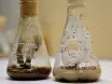 Methods for Rearing the Parasitoid <em>Ganaspis brasiliensis</em>, a Promising Biological Control Agent for the Invasive <em>Drosophila suzukii</em>