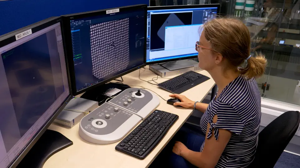 Cryo-Electron Tomography Remote Data Collection and Subtomogram Averaging