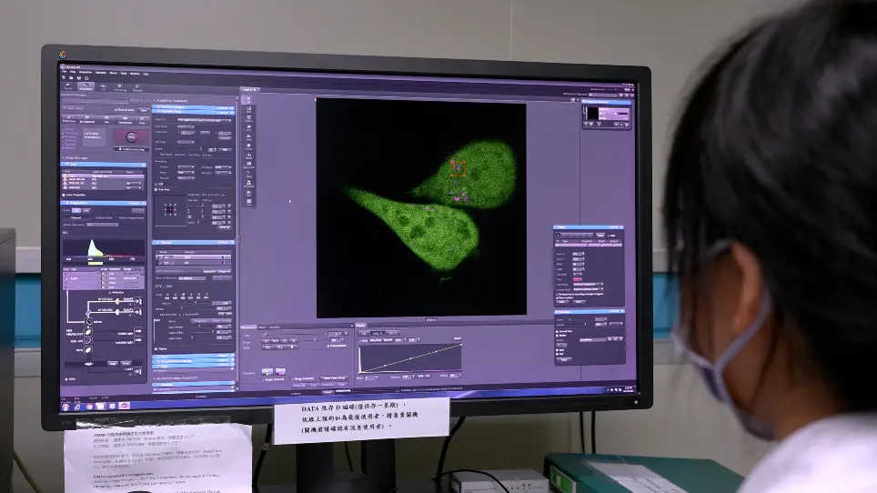 A Photodynamic Approach to Study Function of Intracellular Vesicle Rupture