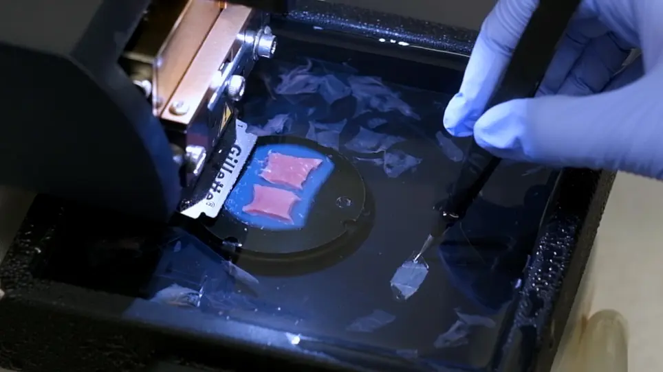Preparation of Human Myocardial Tissue for Long-Term Cultivation