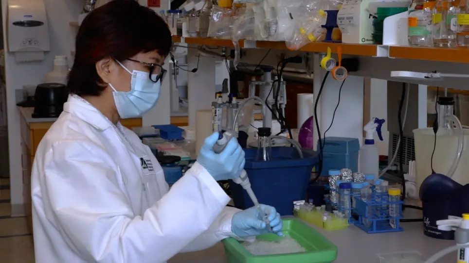 Capturing Chromosome Conformation Across Length Scales