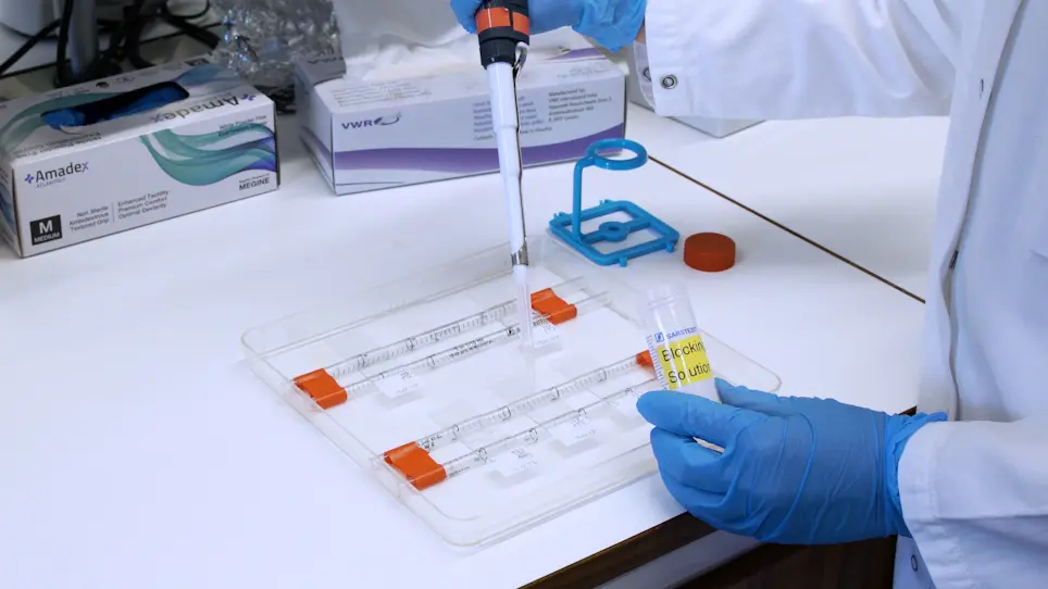 CAM-Delam Assay to Score Metastatic Properties by Quantifying Delamination and Invasion Capacity of Cancer Cells