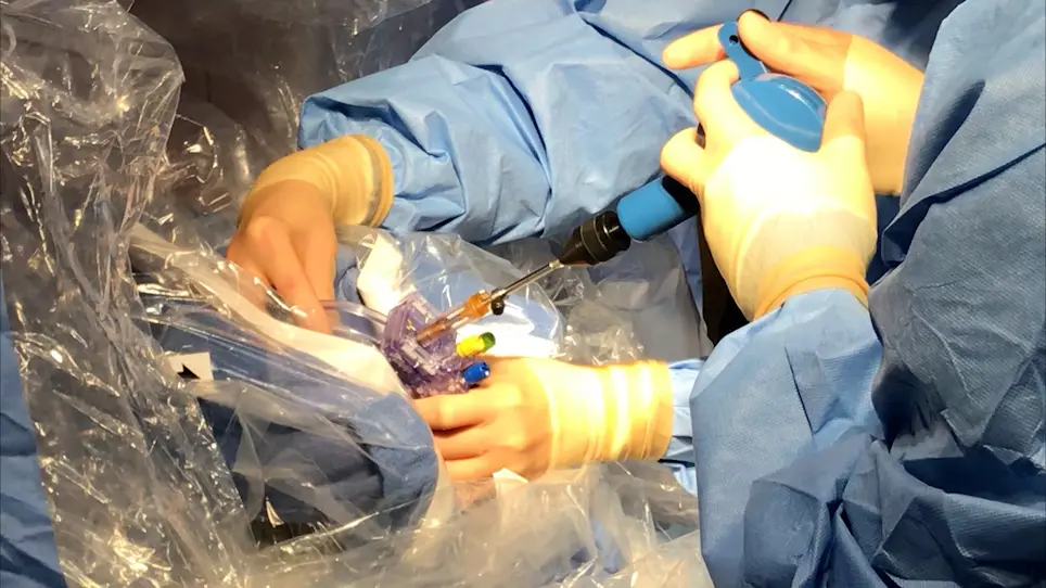 Magnetic Resonance-Guided Stereotaxy for Infusions to the Pig Brain