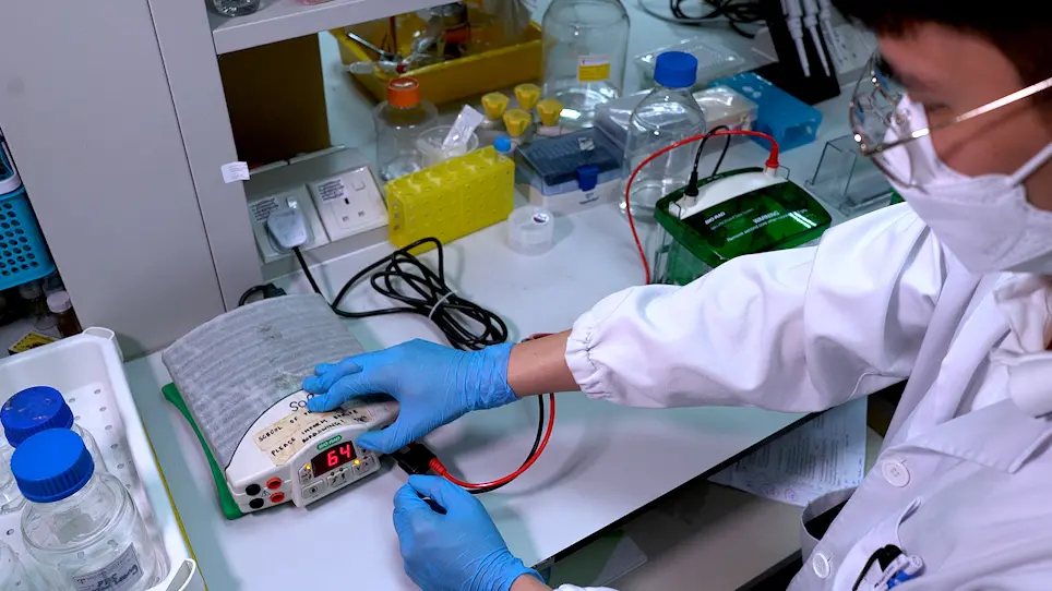 A Simple Benchtop Filtration Method to Isolate Small Extracellular Vesicles from Human Mesenchymal Stem Cells