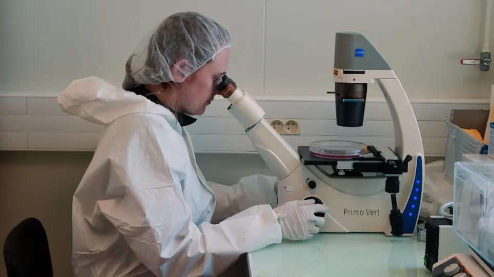 Development of Knock-Out Muscle Cell Lines using Lentivirus-Mediated CRISPR/Cas9 Gene Editing