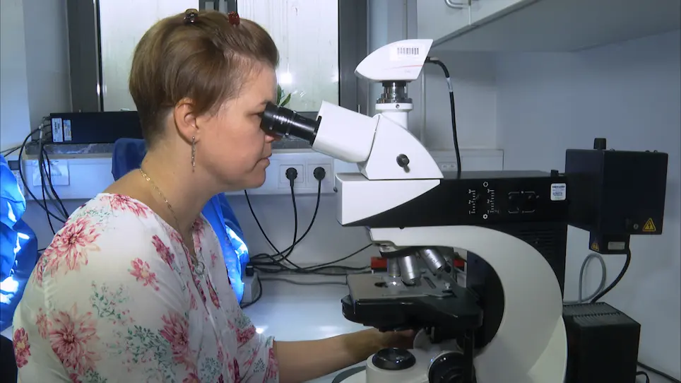 Histology Basics and Cell Death Detection in Honeybee Tissue