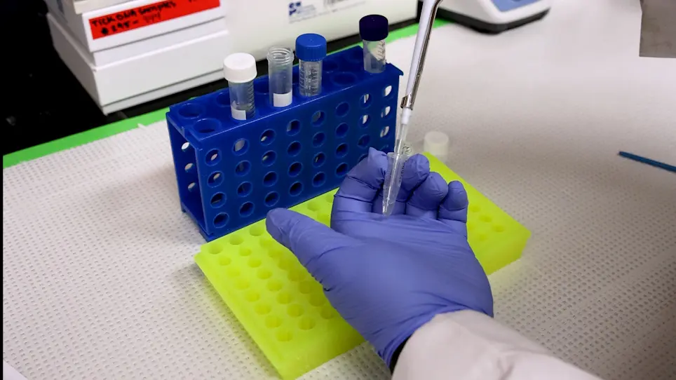 Embryo Injection Technique for Gene Editing in the Black-Legged Tick, <em>Ixodes scapularis</em>