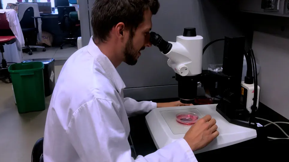 Live Imaging of Early Cardiac Progenitors in the Mouse Embryo