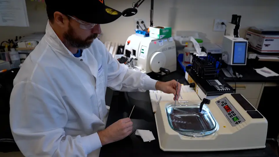 Standardized Processing for Formalin-Fixed, Paraffin-Embedded Cell Pellet Immunohistochemistry Controls