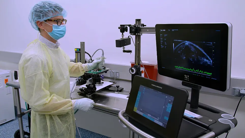A Minimally Invasive, Accurate, and Efficient Technique for Intrathymic Injection in Mice