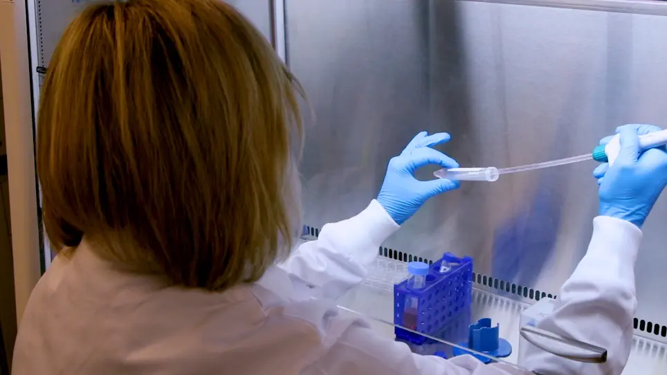 Preclinical Drug Testing in Scalable 3D Engineered Muscle Tissues