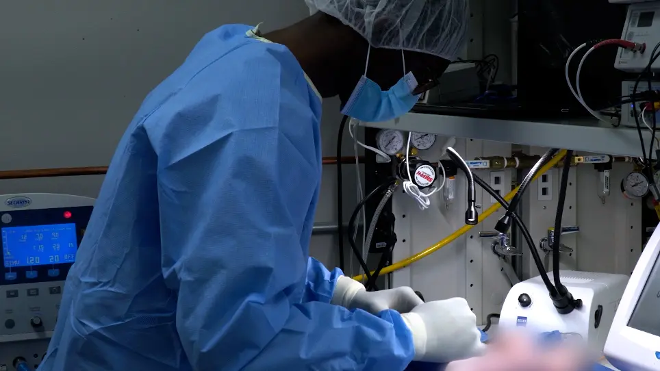 Transdermal Measurement of Glomerular Filtration Rate in Mechanically Ventilated Piglets