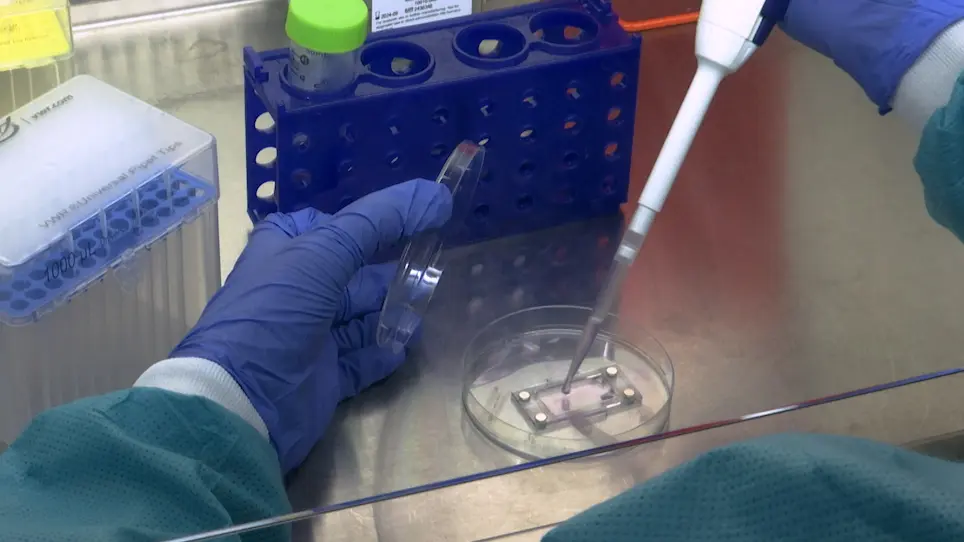 Microengineering 3D Collagen Hydrogels with Long-Range Fiber Alignment
