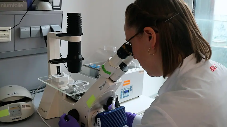 A Gut-on-a-Chip Model to Study the Gut Microbiome-Nervous System Axis