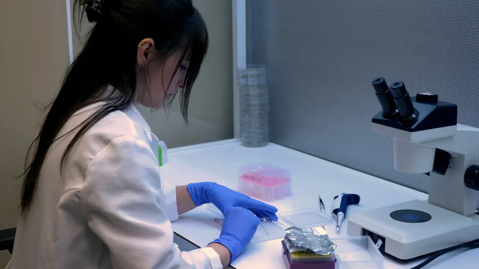 Scalable, Flexible, and Cost-Effective Seedling Grafting