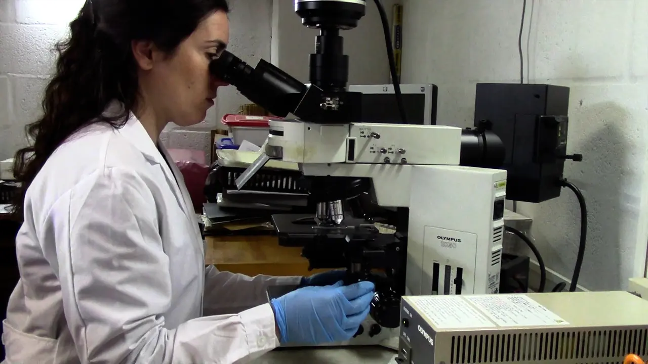 Ecotoxicological Methodologies to Evaluate Biomarkers at Different Scales in Neotropical Anurans