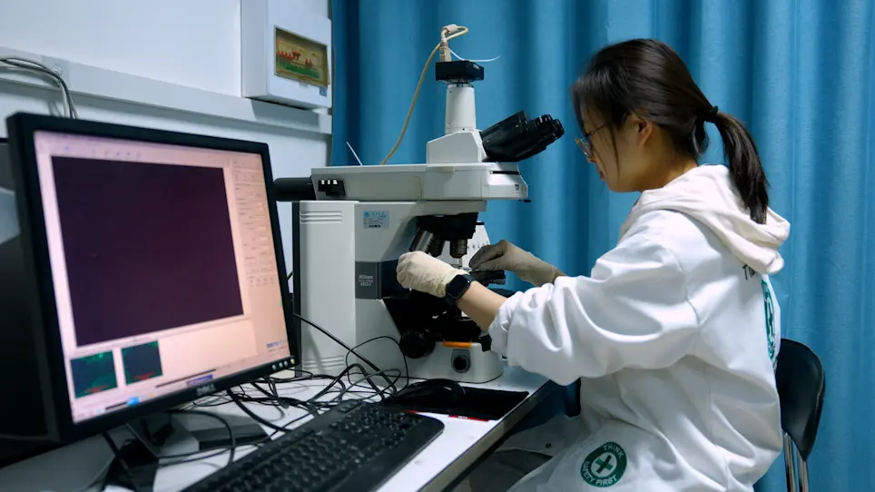 Gene Digital Circuits Based on CRISPR-Cas Systems and Anti-CRISPR Proteins