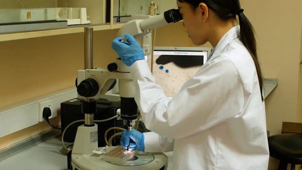 Virus Propagation and Cell-Based Colorimetric Quantification